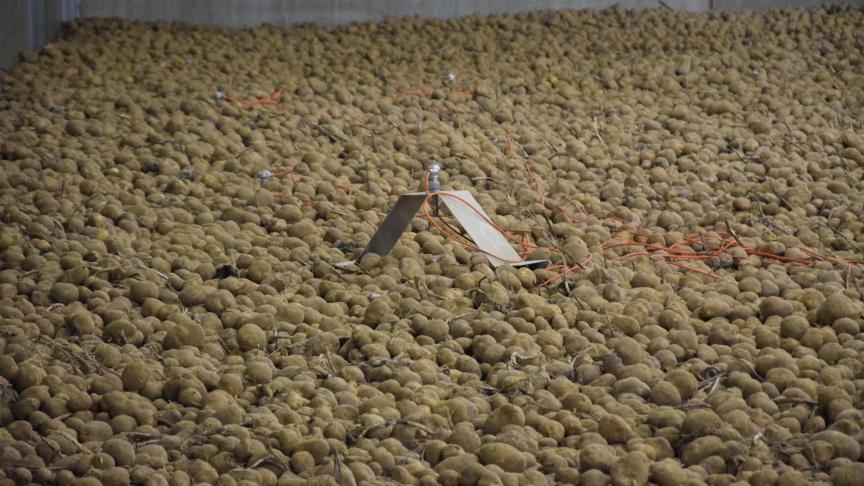 Loodsen moeten grondig gereinigd worden want vaak zijn zelfs sporen van CIPC dat jaren terug gebruikt is, terug te vinden.