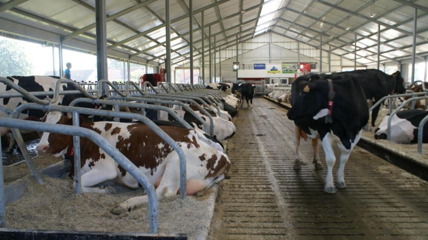 Deze bemonstering kan via MPR-monstername door CRV of door een monstername van bloed of melk door de dierenarts.