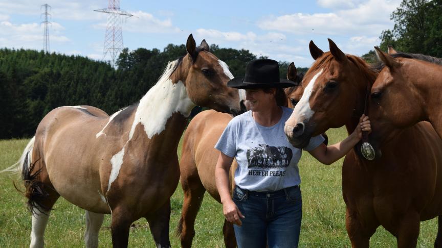 Laurence Lambert fokt Quarter Horse paarden. Deze worden geselecteerd voor hun vredig karakter, maar ook voor hun levendigheid.