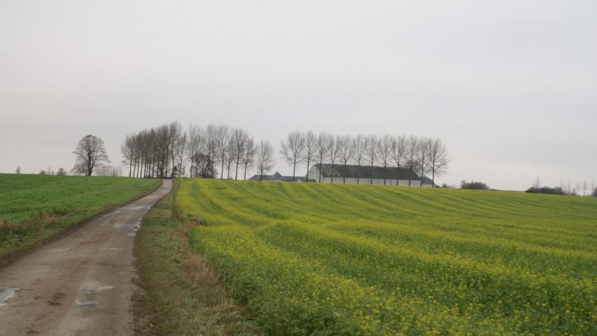 De projectpartners onderzoeken de mogelijkheden om stoppende landbouwbedrijven om te vormen tot landerijen.
