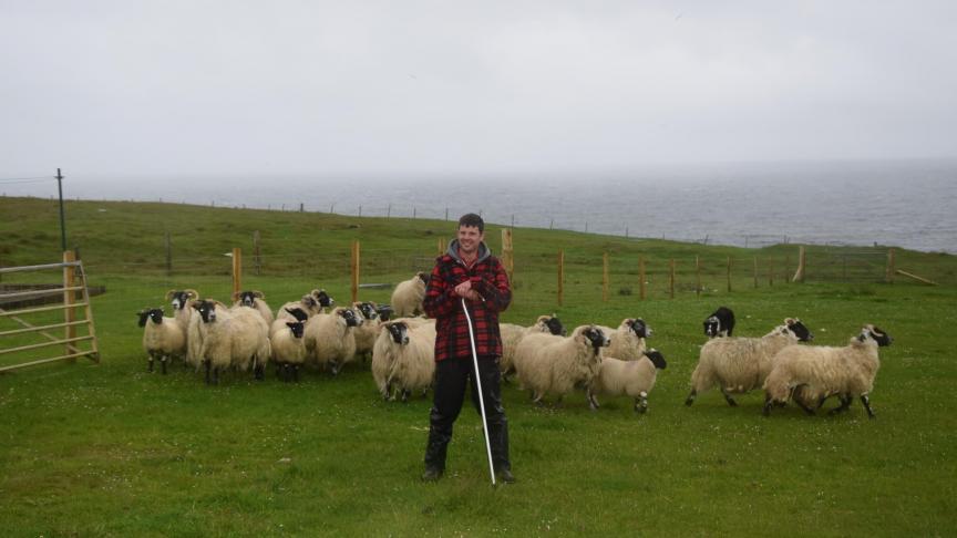 Er zijn iets meer dan 18.000 crofts en ongeveer 13.000 crofters in de Schotse Hooglanden en Eilanden.