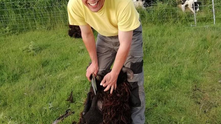 Het wol van de Hebridean schapen ziet Stephen als een mooi product op de markt.