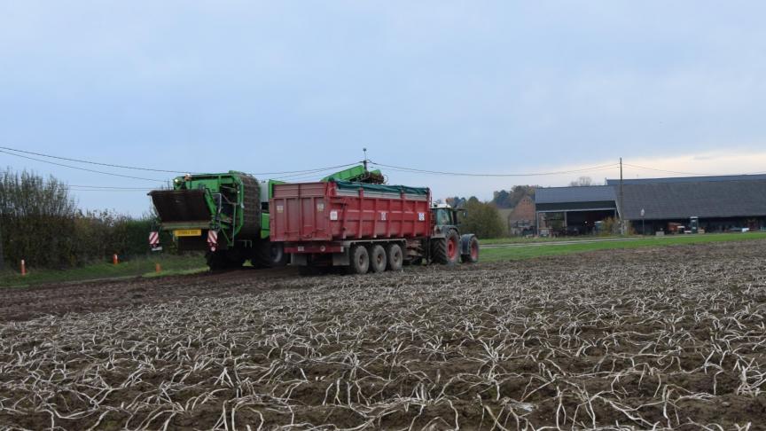 Voor 2019 wordt de totale productie consumptieaardappelen voor ons land geraamd op 4,4 miljoen ton aardappelen.