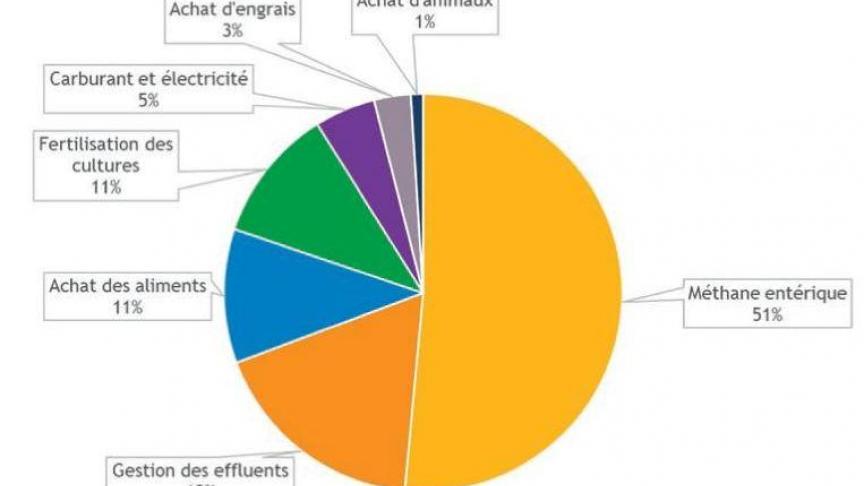 Grafiek 1: De verschillende vormen van uitstoot van broeikasgassen door een melkveebedrijf.