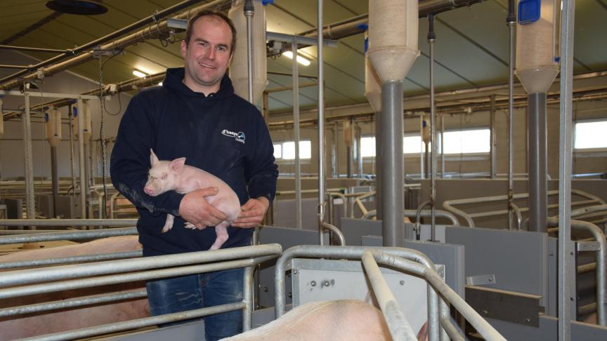 Dieter Vanluchene is erg tevreden over de vrijloopboxen in de nieuwe kraamsta l.