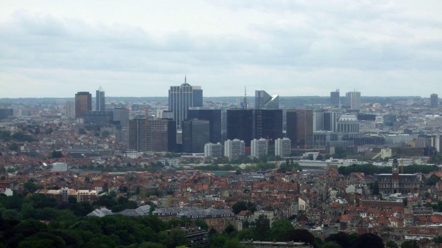 Brussel moet door de ingreep rundloos verder.