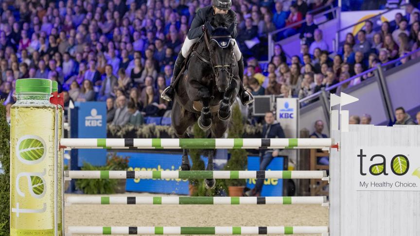 Grégory Wathelet behoort tot de  beste Belgische springruiters.