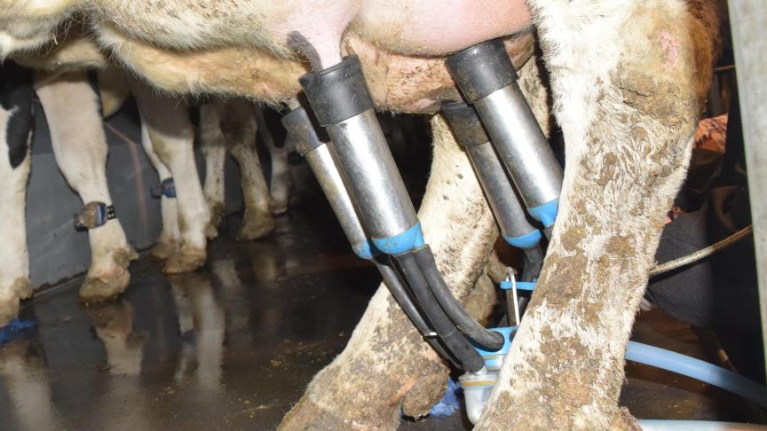 De melkveehouders van Arla behoren vandaag volgens het bedrijf al tot de meest klimaatvriendelijke ter wereld.