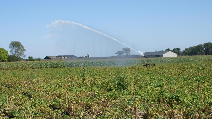 In de nieuwe Vegaplan richtlijnen gaat er meer aandacht naar de kwaliteit van de gebruikte waterbron