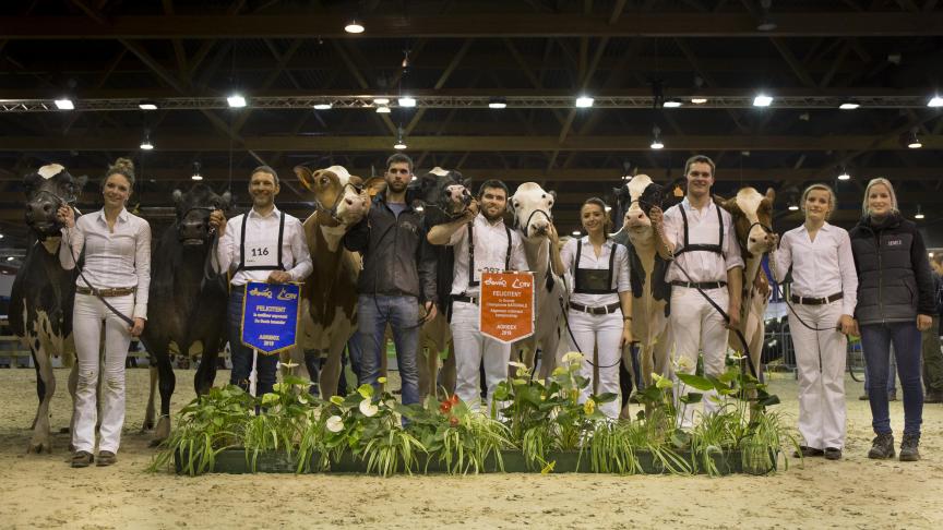 De familie Neuville bracht 7 dieren mee naar het kampioenschap, hiermee wonnen ze 5 reeksen en alle 9 titels!