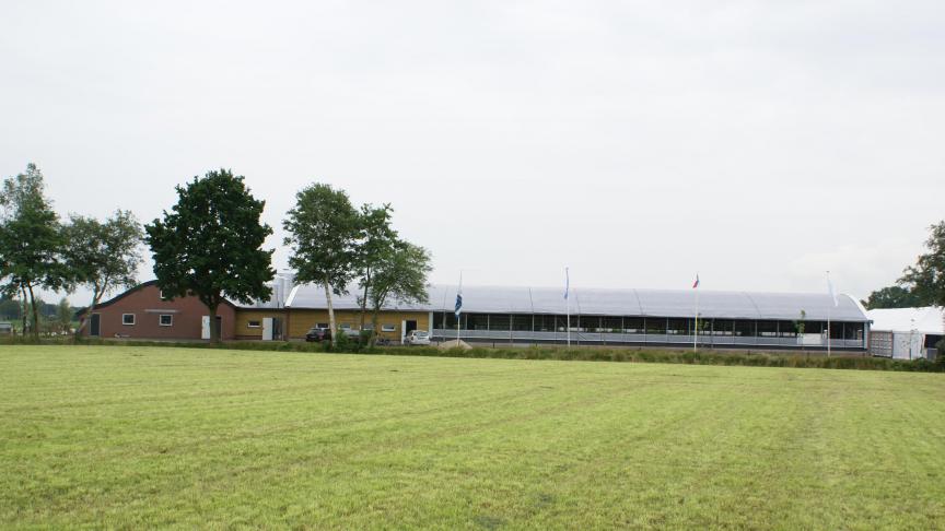 De provincie Antwerpen gaf een vergunning voor de bouw van pluimveestallen, tegen het advies van de naburige Nederlandse provincie Noord-Brabant in. Op de foto een willekeurig pluimveebedrijf.