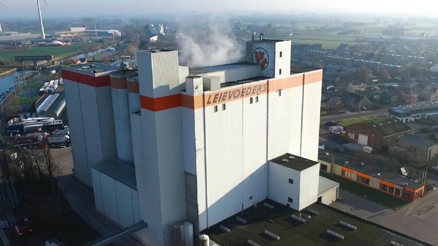 Leievoeders groeit de laatste tijd sterk.