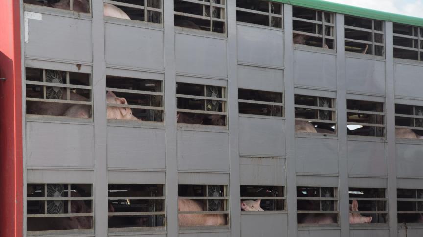 De Raad van de Europese Unie wenst onder meer betere transportregels.