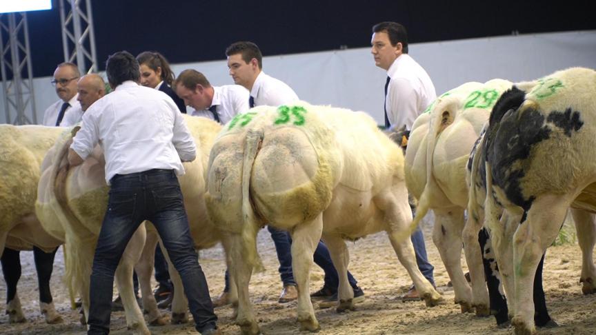Dankzij de steun kunnen de producenten zich groeperen en hun marktpositie versterken door kennis en gegevens uit te wisselen, hun aanbod te concentreren of gezamenlijke aankopen te doen. Ze staan bovendien sterker in de markt om het inkomen van de producenten verbeteren.