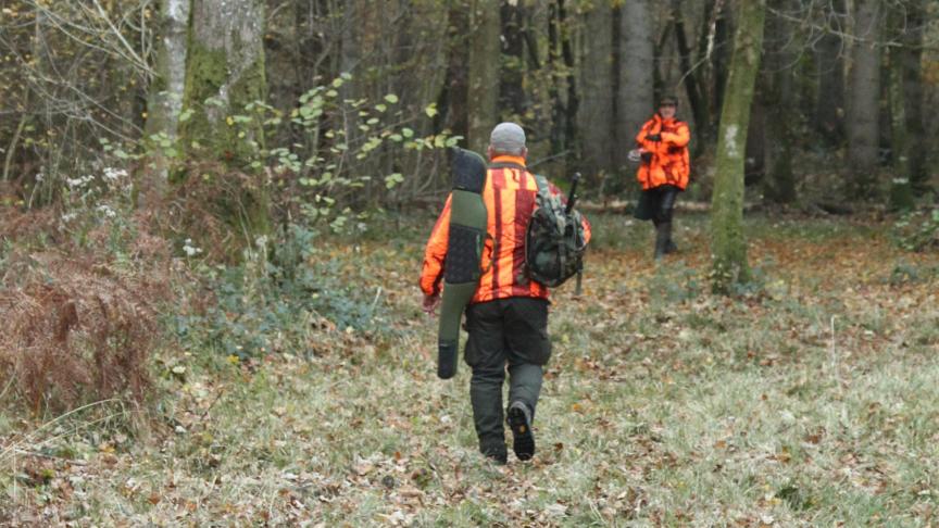 Frankrijk intensiveerde de jacht in de hoop de Afrikaanse varkenspest buiten te houden. Vooralsnog met succes.