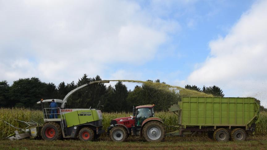 Ook in 2019 hadden de klimatologische omstandigheden een invloed op de maïsteelt.