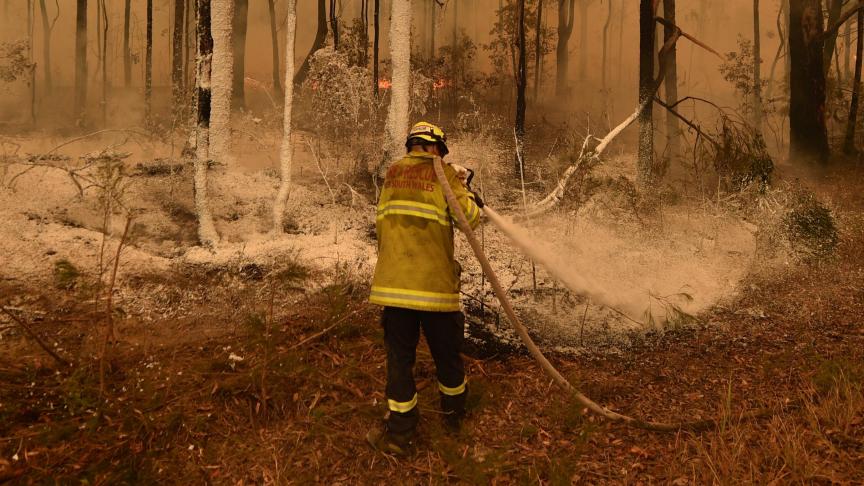 Tot dusver is al meer dan 3,6 miljoen hectare aan bos in vlammen opgegaan. Dat is al meer dan de oppervlakte van België.