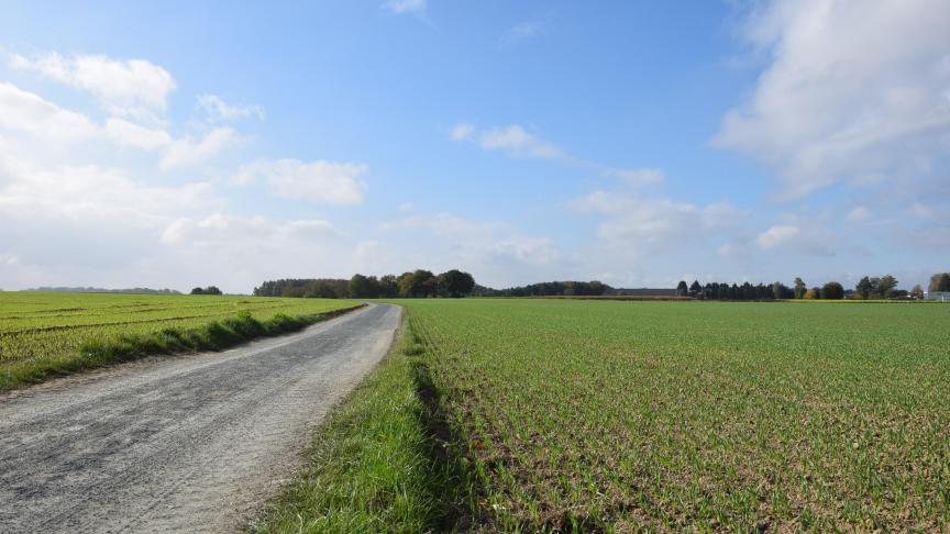 Gronden waarop in het verleden vervuilende activiteiten plaatsvonden, kunnen niet zomaar voor de landbouw worden ingezet.