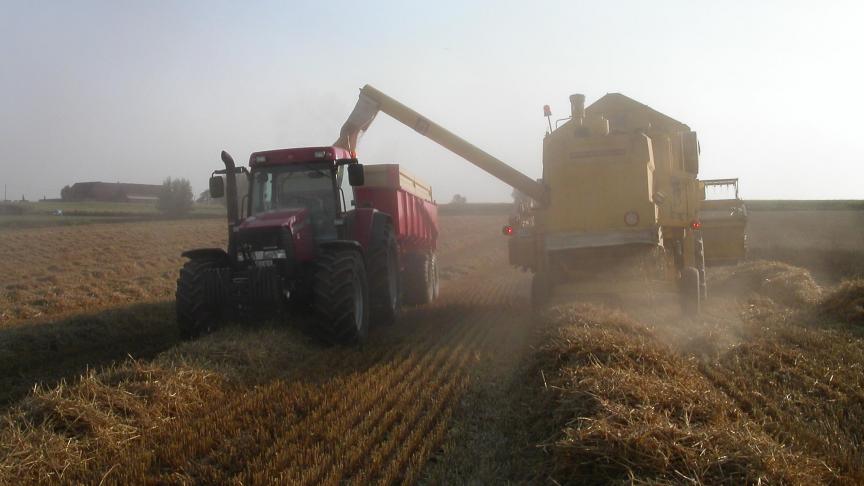 De prijzen van granen namen ook met 1,4
% toe.