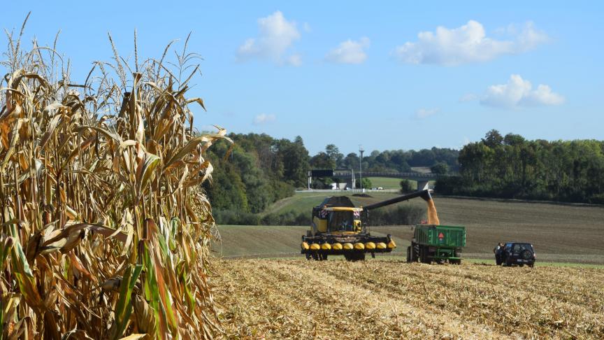 Een hoge korrelopbrengst is voor elk korrelmaïsras uiteraard van groot belang. De financiële impact van de droogkosten moeten zo veel mogelijk beperkt blijven.