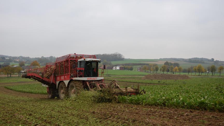 De proeven werden redelijk laat geoogst, met een start op 3 oktober in zeer goede  rooiomstandigheden.