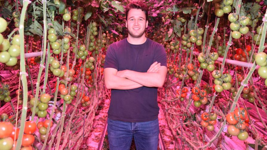 Zeger Coghe runt samen met zijn zus Sien het tomatenbedrijf Tomco op de nieuwe glastuinbouwzone in Roeselare.