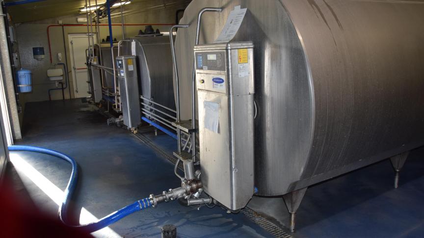 Opvolging van het IBR-statuut via tankmelkonderzoek is enkel mogelijk voor bedrijven met een overwegend melkleverend karakter.