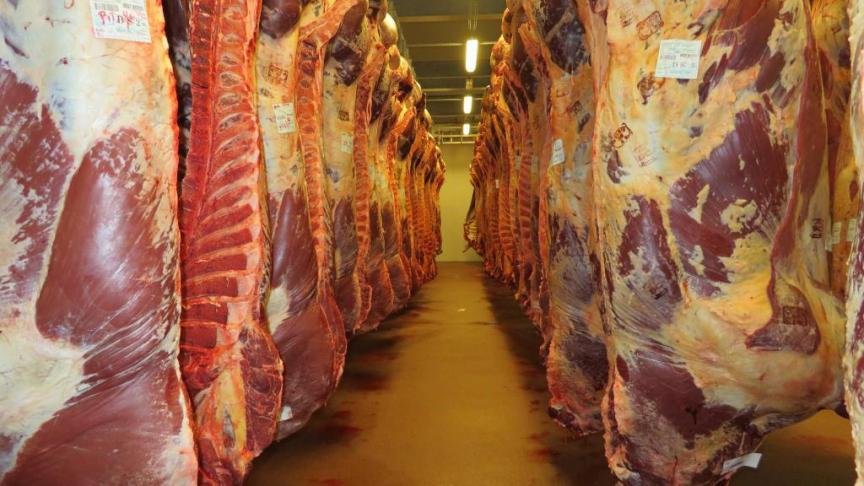 Er is een overcapaciteit in onze runderslachthuizen, maar de regionale verschillen zijn groot.