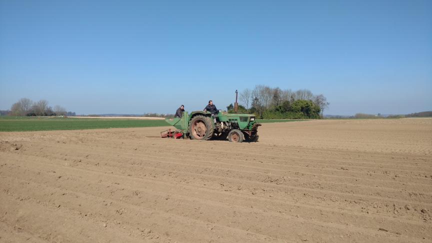 De proeflocaties leden onder de droogte.