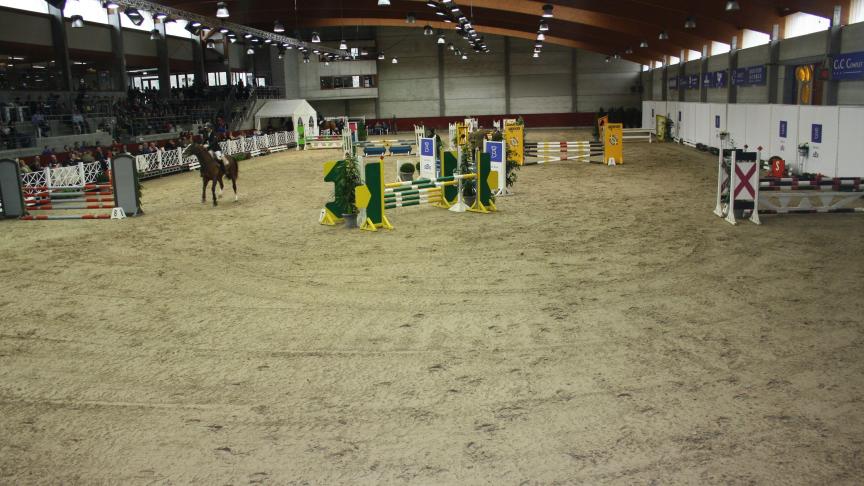 Bij de 49 starters in de reeks 4- jarigen op 18 januari bleven er 25 foutloos.