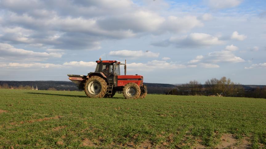 Ook dit jaar speelt de voorteelt een belangrijke rol bij de minerale stikstofvoorraad in het bodemprofiel.