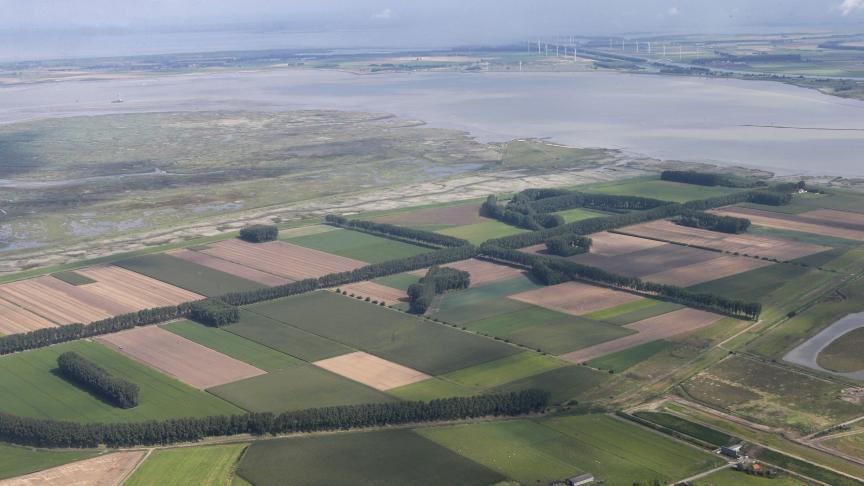 De Hedwigepolder werd ooit opgezet voor de landbouw, maar wordt nu ontpolderd.