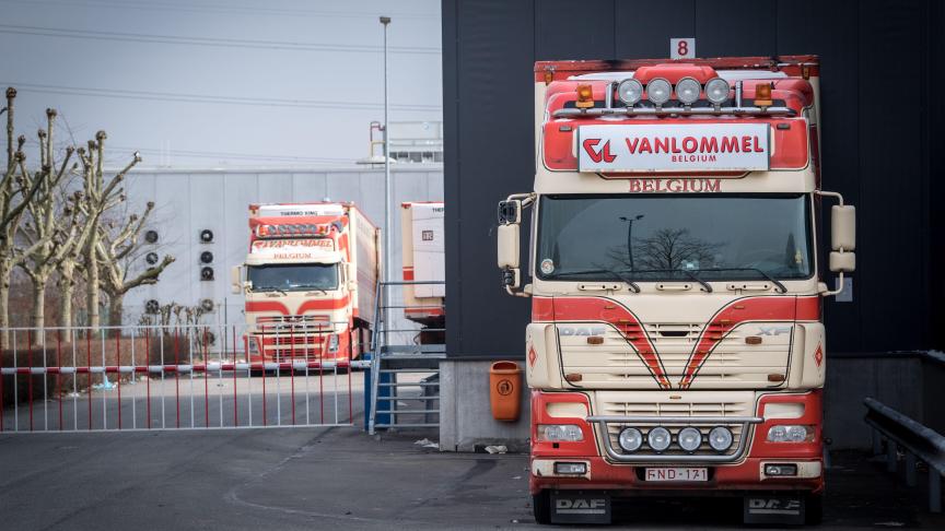 Vanlommel voert veel kalfsvlees uit naar Italië.