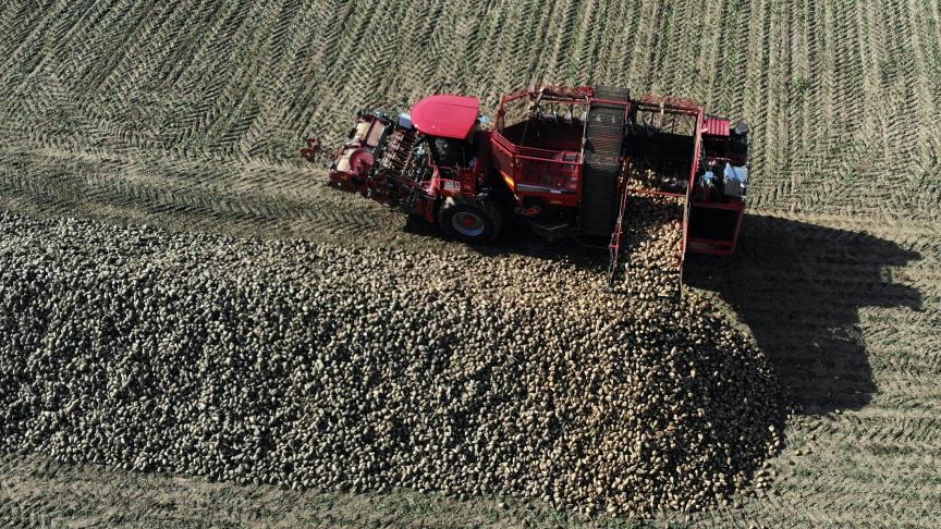 De prijzen van diverse landbouwproducten, waaronder suiker, staan onder druk.
