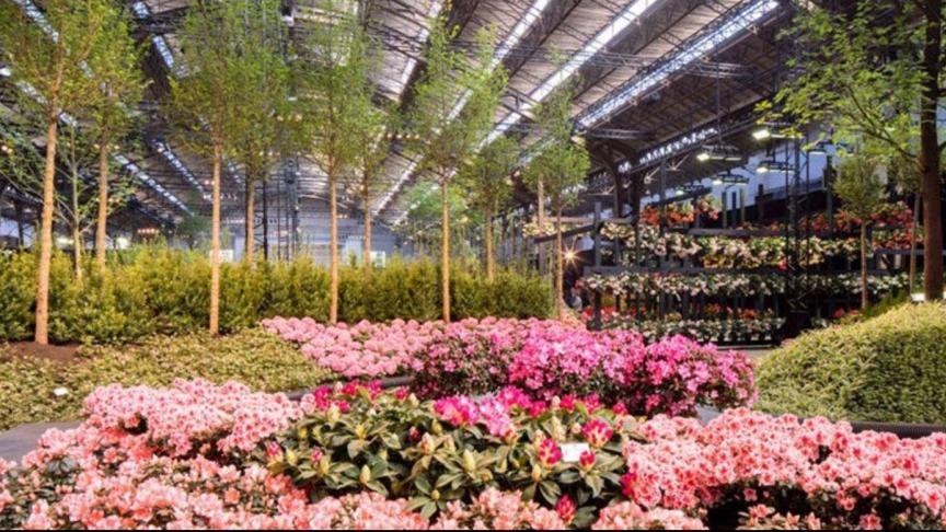 Het vierjaarlijkse evenement Floraliën verschuift naar april 2021.