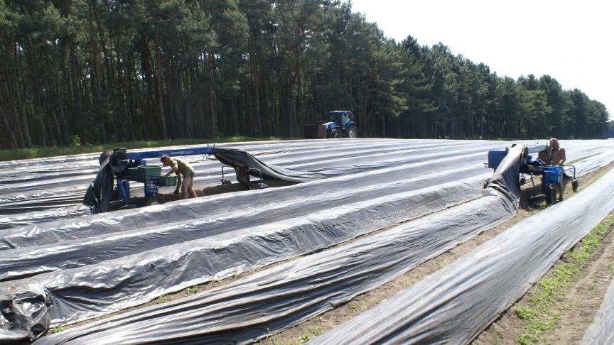 De landbouw is sterk afhankelijk van buitenlandse seizoensarbeiders.