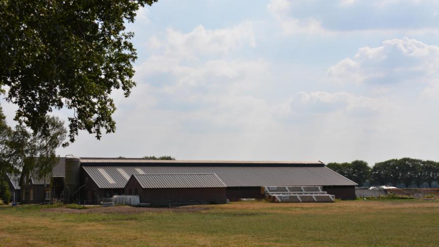 De Nederlandse regering wil de stikstofdepositie verminderen, door in te zetten op eiwitarmer veevoeder.