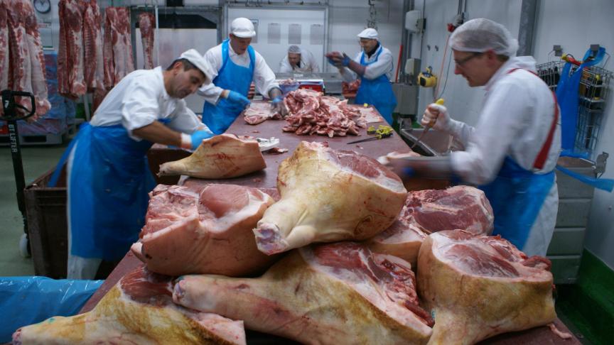 Bij de consumenten en de vleesindustrie is er bezorgdheid over het voorkomen van minder mals en sappig vlees dat moeilijker te verwerken is tot kookham.