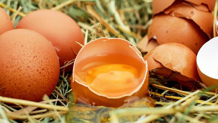 De dierlijke producten, zoals vlees en eieren, zijn belangrijk voor de Vlaamse export met een handelsoverschot van 2,3 miljard euro.