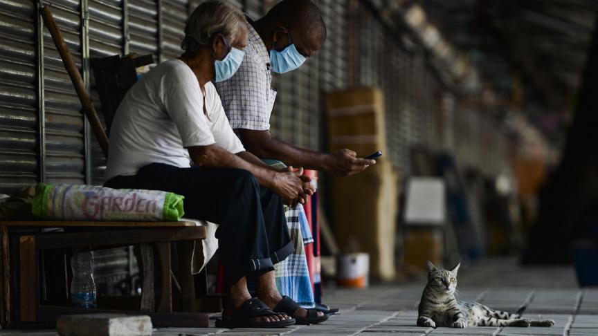Er is wereldwijd slechts weinig gekend over de Covid-19-problematiek bij dieren.