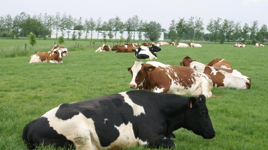 Binnen het project is 30 miljoen liter melk vastgelegd.