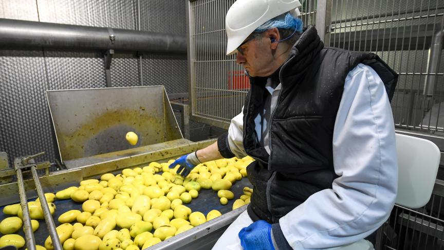 De verwerkende aardappelindustrie staat voor innovatie en ontwikkeling.