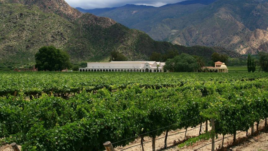 De Argentijnse landbouw exporteert veel rundvlees, soja en wijn.