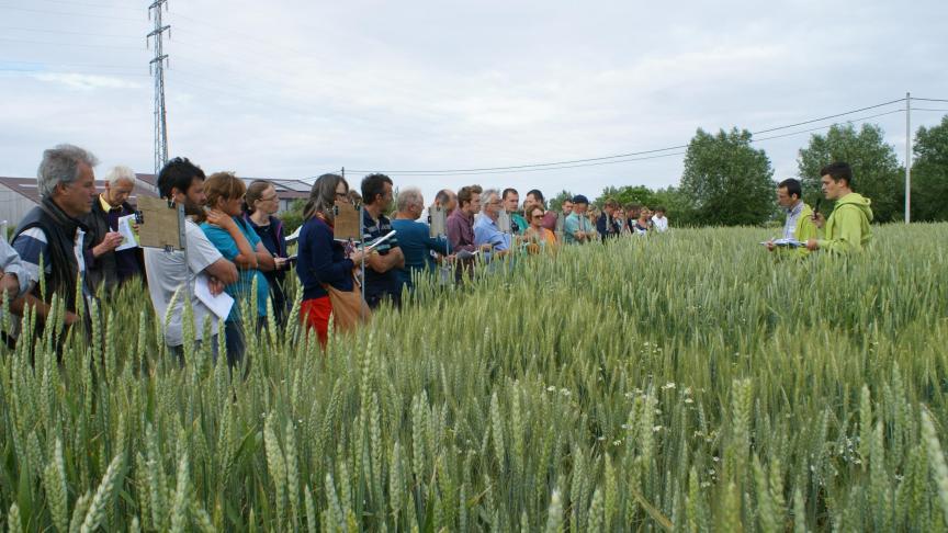 Terwijl in januari nog maar 19% van de P2-fytolicentiehouders die vervalt in november 2020 4 of meer vervolgopleidingen had gevolgd, geeft de FOD volksgezondheid mee dat het percentage nu al wat hoger was op 24 maart.