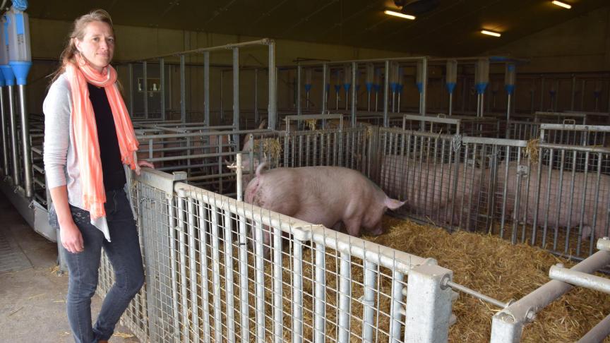 Ik ben grotendeels tevreden over deze onderzoeksstal , stelt Marijek Aluwé, coördinator van de varkenscampus.  In de kraam- en drachtstal zou ik vandaag wel kiezen voor voerstations. En de stroruimte in de drachtstal vergt extra werk, maar ze blijkt echt wel gunstig voor het welzijn van de zeugen.