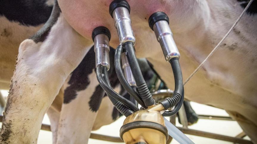 De sterke daling van prijzen van enkele zuivelproducten is gestopt.