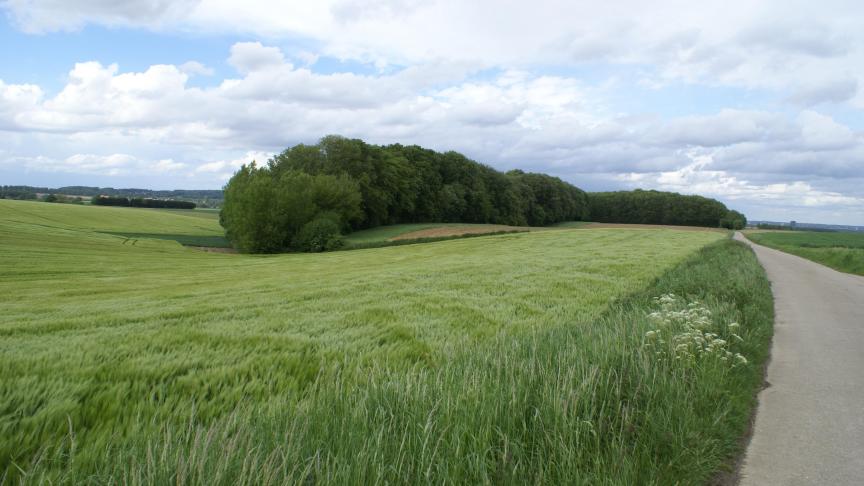 De tarweprijs klom in april omhoog.