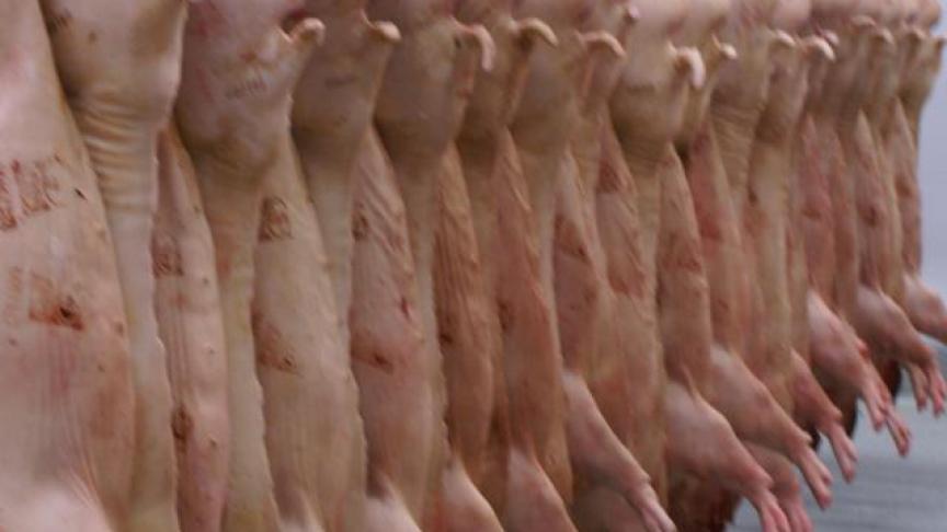 Het verdwijnen van de vraag uit horeca en de foodservice in zowel binnen- als buitenland werken de opstapelende verliezen nog verder in de hand , zegt gedelegeerd bestuurder Michael Gore.