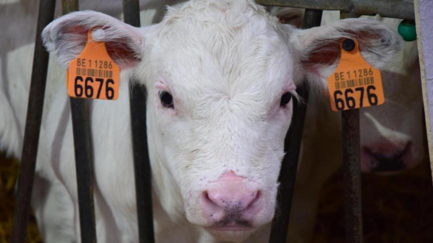 De vleesveehouderij is dus dé manier bij uitstek om een economische valorisatie aan natuur- en klimaatwaarden te geven.