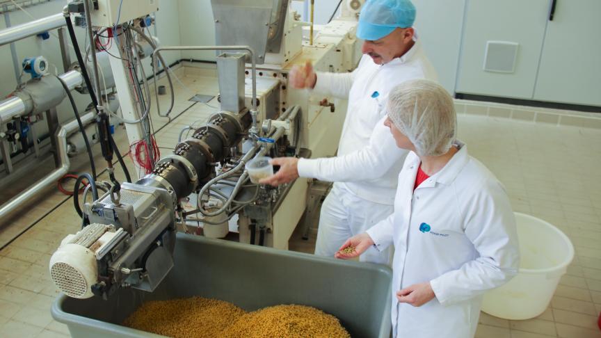 Het eiwit-onderzoeksteam in de Food Pilot op het ILVO is momenteel coördinator of deelnemer in 8 belangrijke eiwit-onderzoeksprojecten.